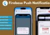 Firebase Push Notification Flutter Firebase Push Notification Flutter